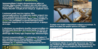 Final poster Ιχθυοκαλλιέργειας